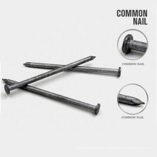 Professional Factory Directly Sale Common Nail and Steel Nail